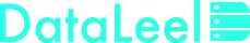 DataLeel logo footer